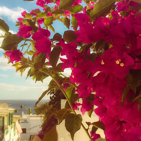 Apartamento Cama Puerto Del Carmen *